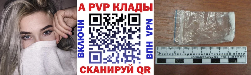 A PVP СК  Саранск 