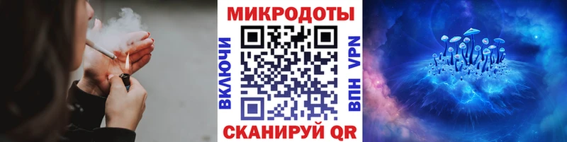 Галлюциногенные грибы Psilocybe Саранск