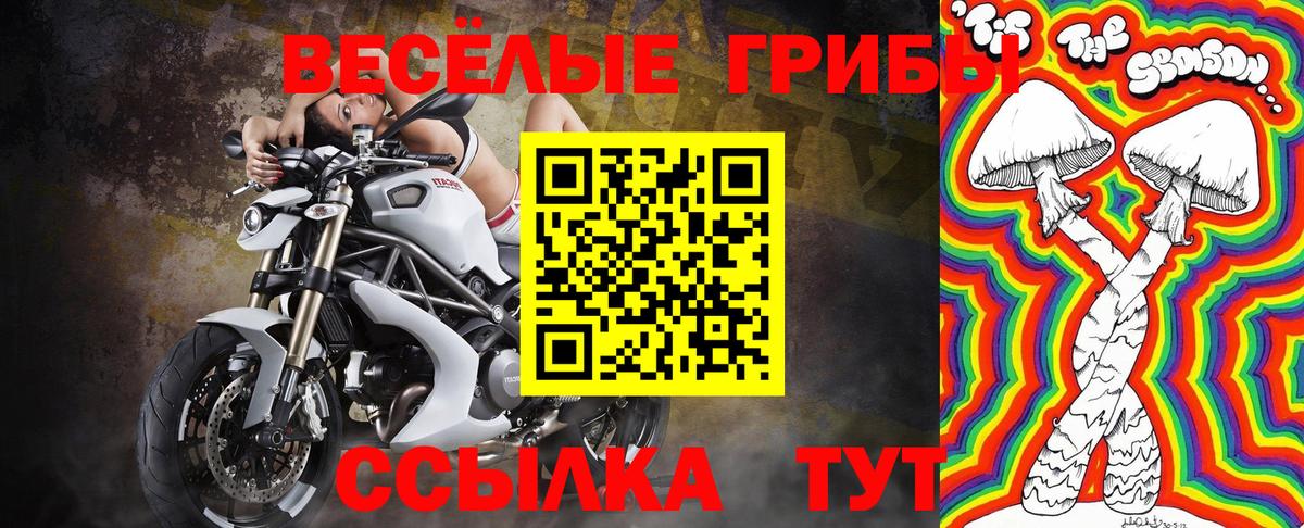 Саранск  Псилоцибиновые грибы GOLDEN TEACHER  Вход с VPN 